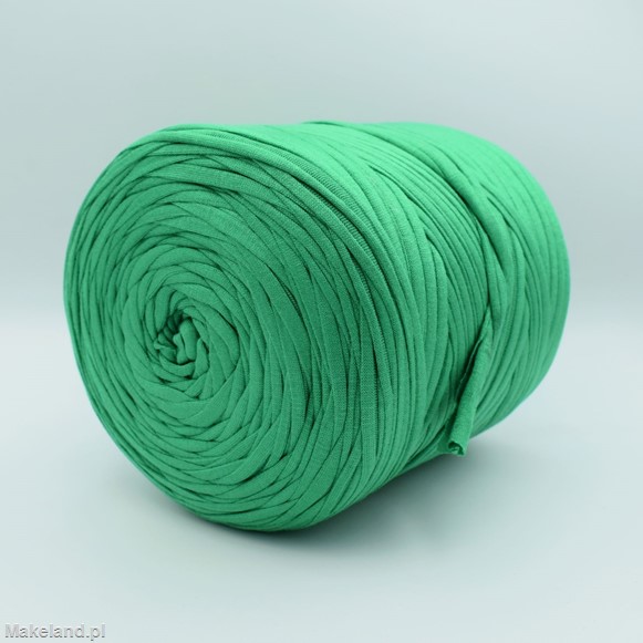 Zdjęcie włóczki T-shirt Yarn zielonej. 