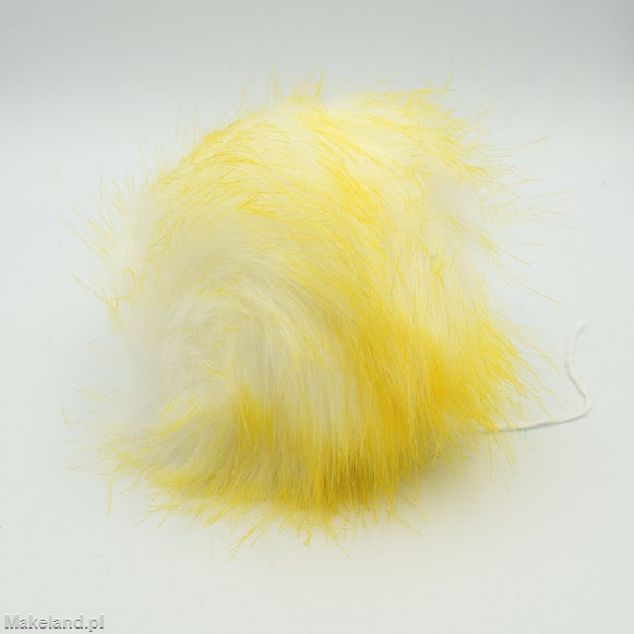 Zdjęcie pompona futrzanego żółto-białego. 