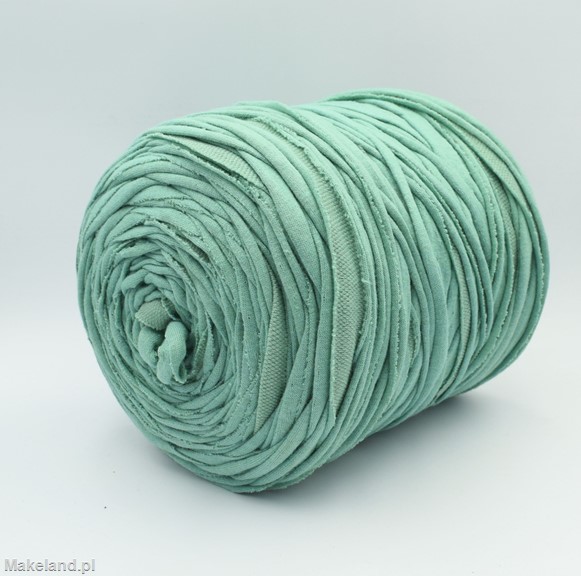 Zdjęcie włóczki T-shirt Yarn seledynowej. 