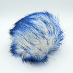 Zdjęcie pompona futrzanego niebiesko-białego. 