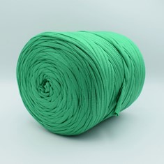 Zdjęcie włóczki T-shirt Yarn zielonej. 