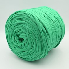 Zdjęcie włóczki T-shirt Yarn zielona.