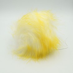 Zdjęcie pompona futrzanego żółto-białego. 