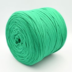 Zdjęcie włóczki T-shirt Yarn zielona.