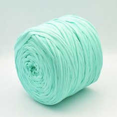 Zdjęcie włóczki T-shirt Yarn seledynowa.